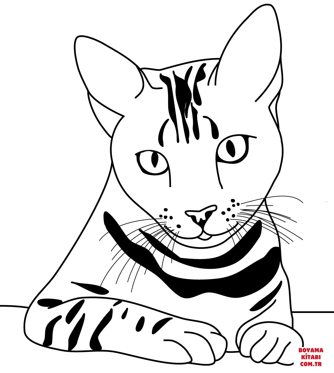 Kedi boyama sayfası – çocuklar için, çizgi film temalı