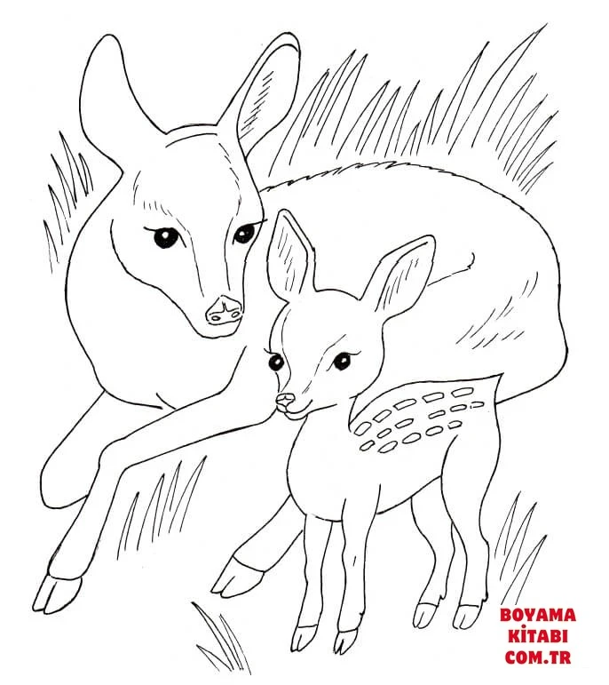 Geyik boyama sayfası – evde etkinlik, ücretsiz yazdır