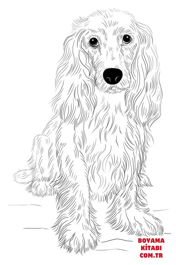 Köpek boyama sayfası #253 – renkli çizimler, dikkat ve odaklanma geliştirir