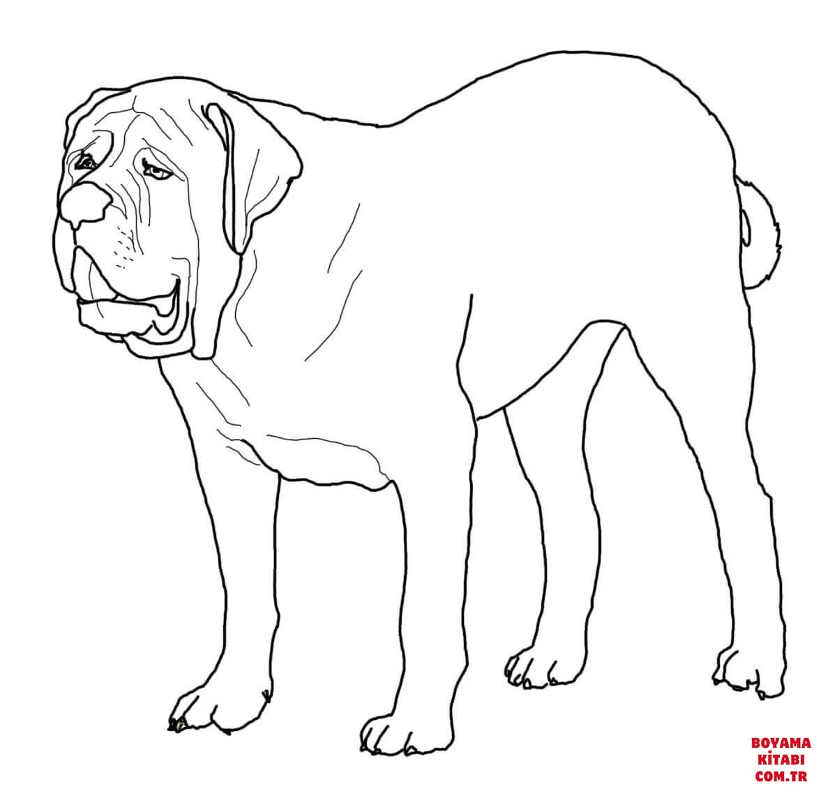Köpek boyama sayfası #254 – anaokulu etkinliği, motor becerileri destekler