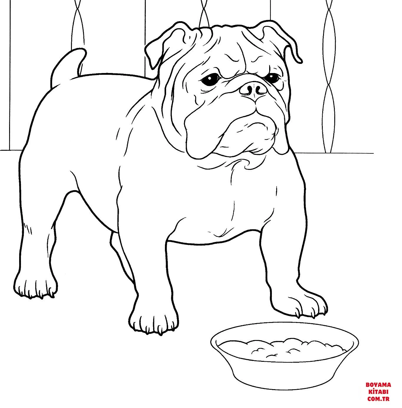 Köpek boyama sayfası #267 – A4 baskıya uygun, ücretsiz yazdır