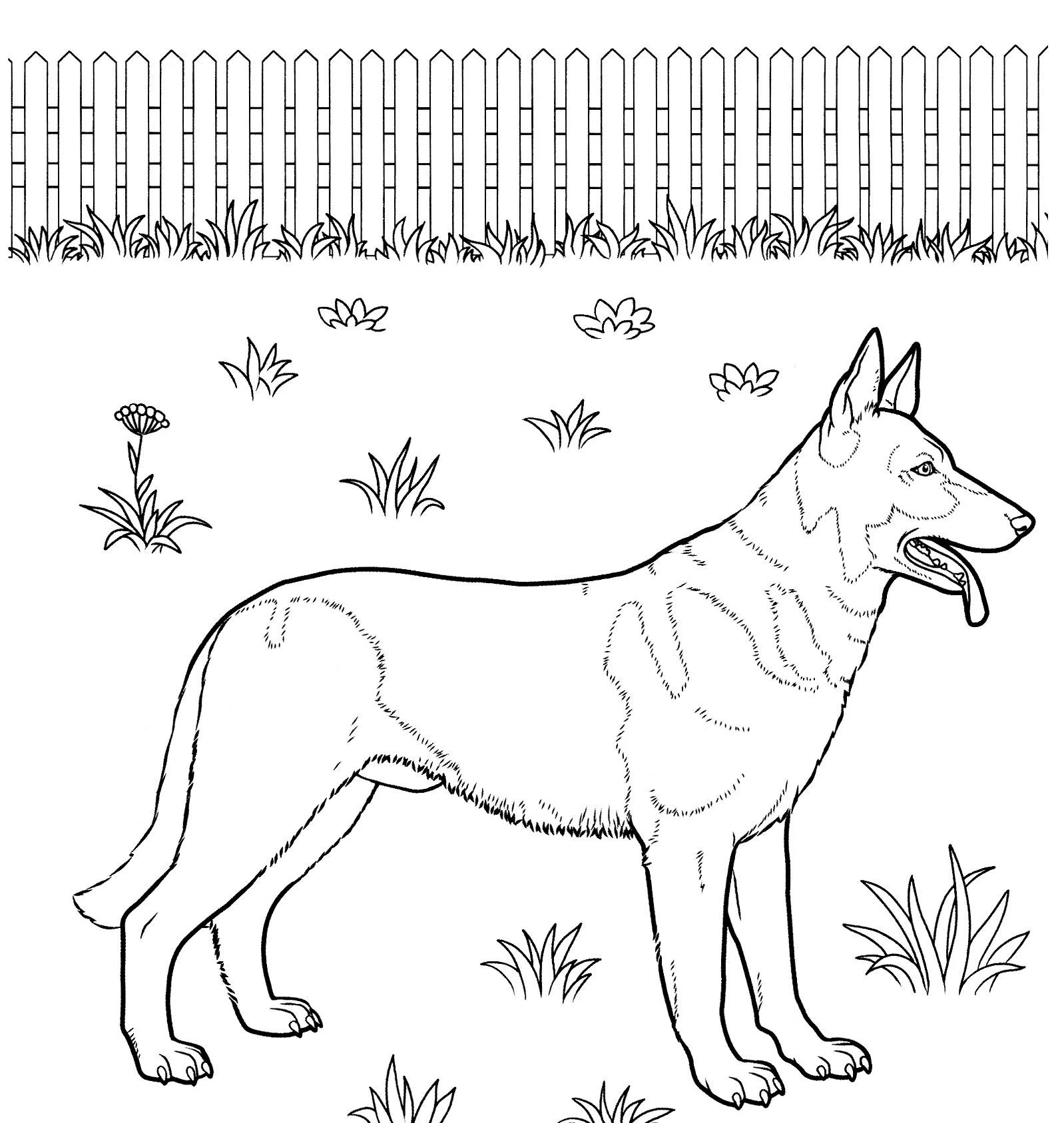 Köpek boyama sayfası #308 – mürekkep tasarrufu sağlar, PDF indir