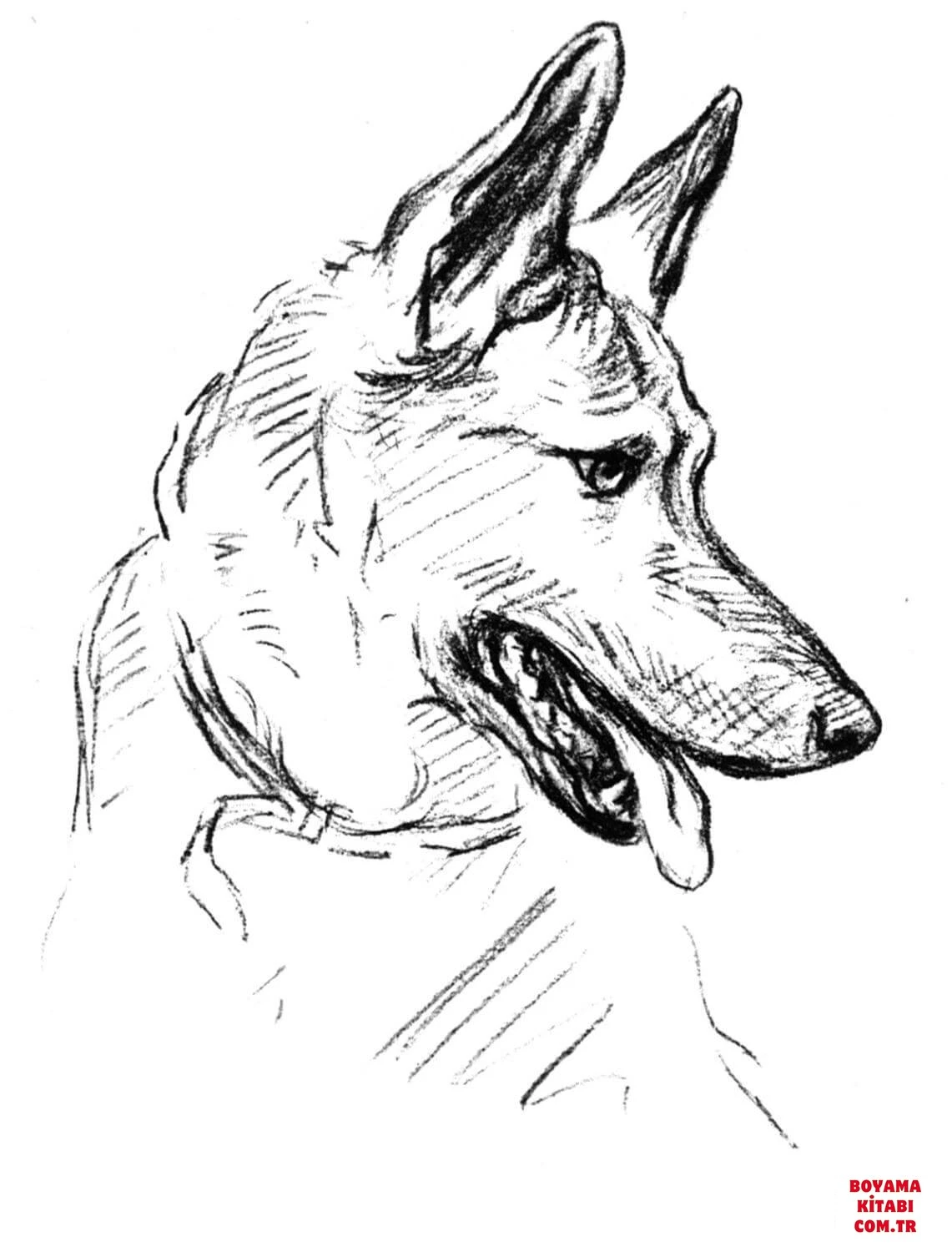 Köpek boyama sayfası #310 – günlük etkinlik önerisi, kolay boyama