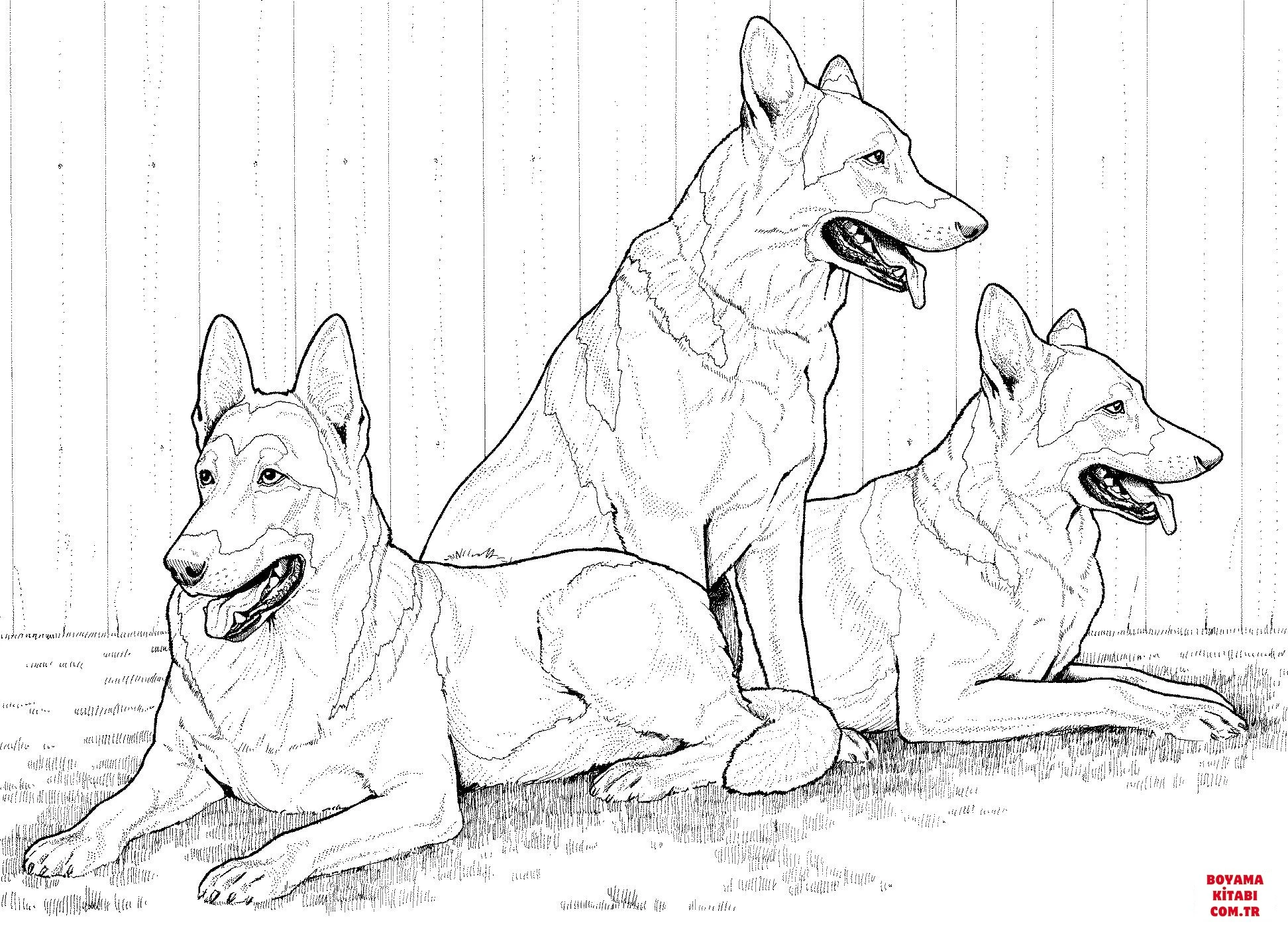 Köpek boyama sayfası #311 – yaratıcı sanat çalışması, eğlenceli etkinlik