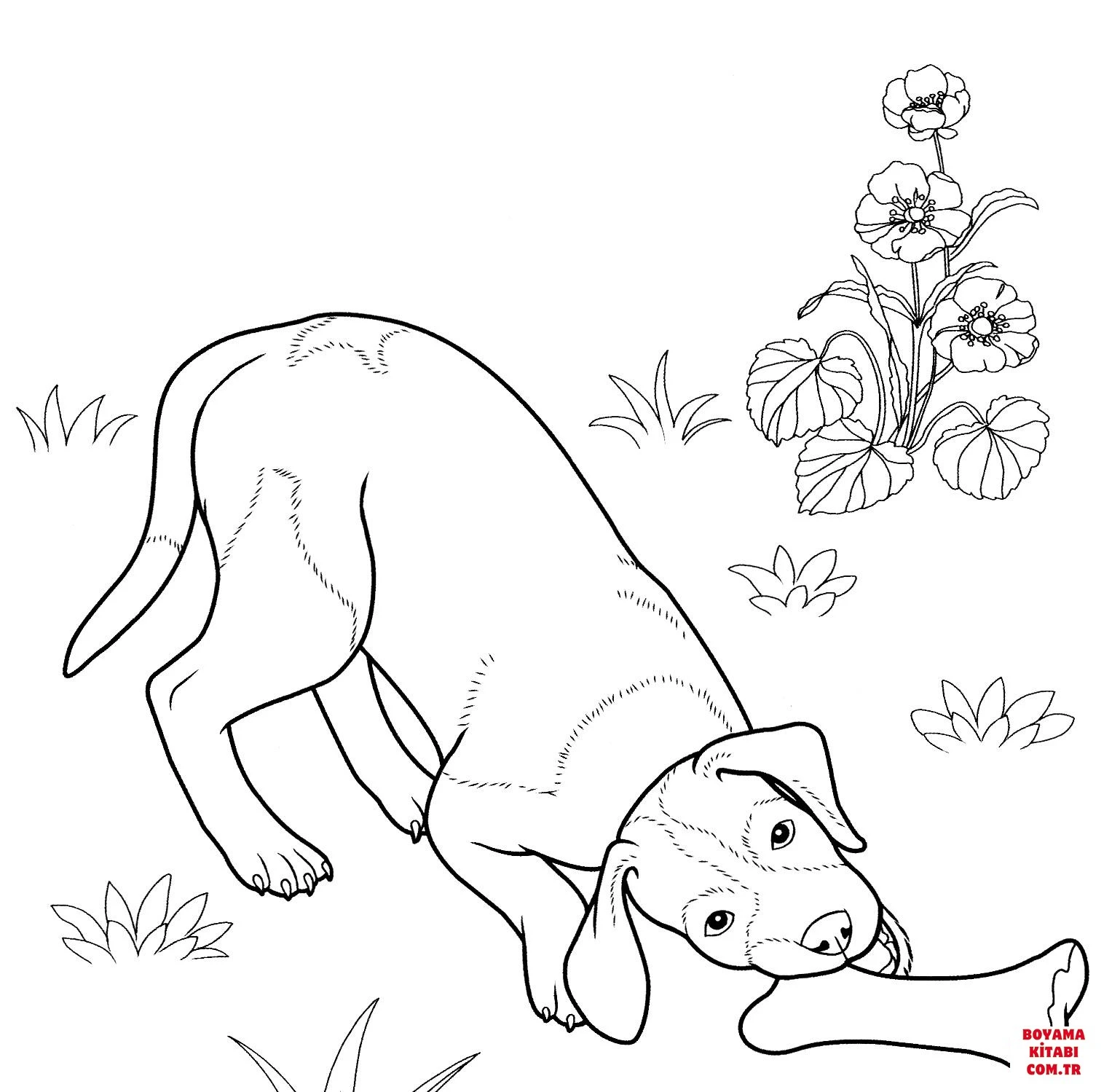 Köpek boyama sayfası #315 – PDF indir, sevimli karakter