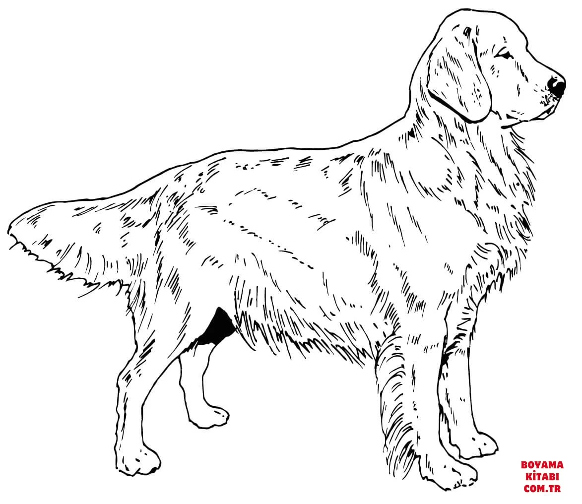 Köpek boyama sayfası #318 – eğlenceli etkinlik, el becerilerini geliştirir