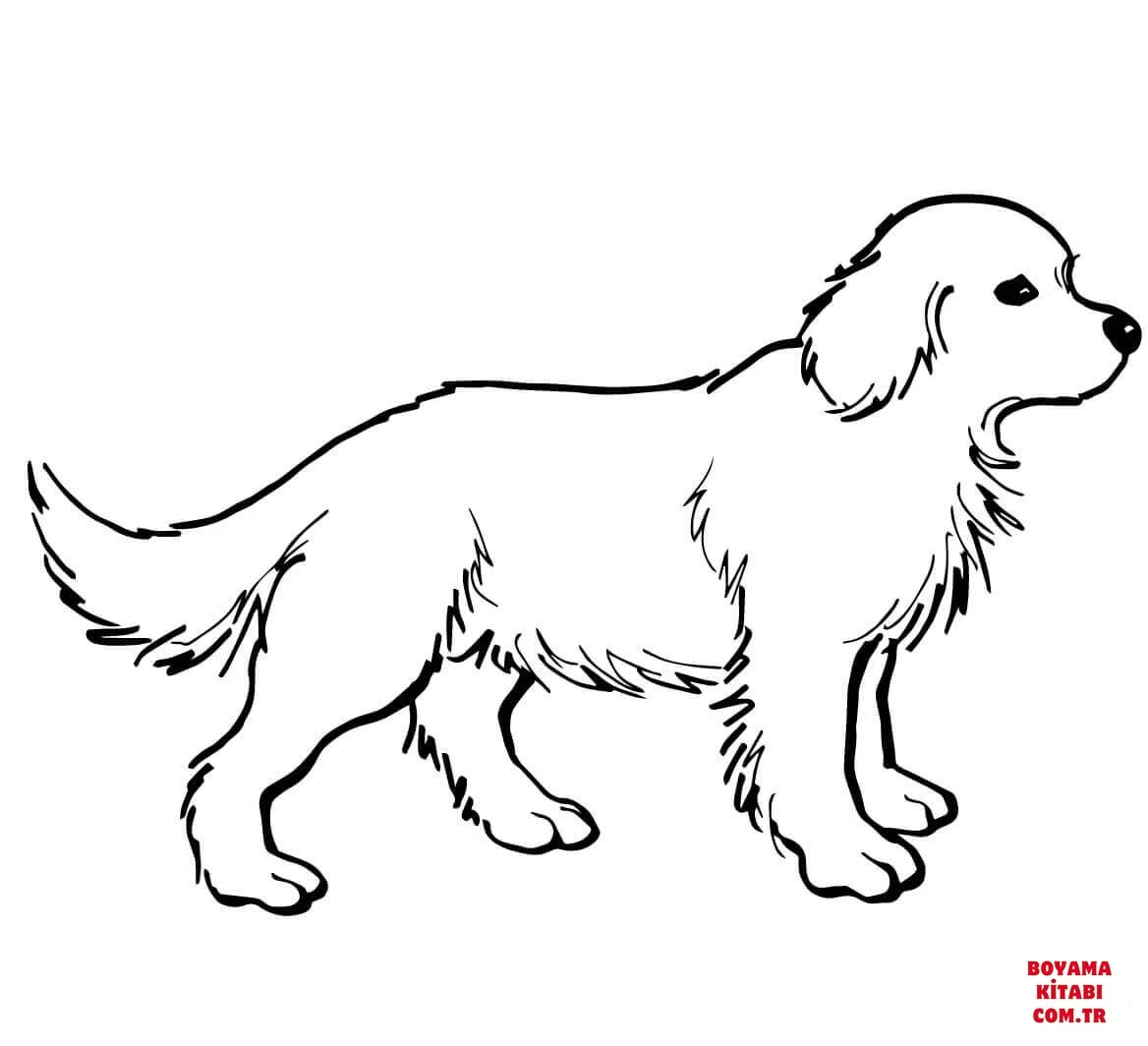 Köpek boyama sayfası #320 – okul öncesi, evde etkinlik