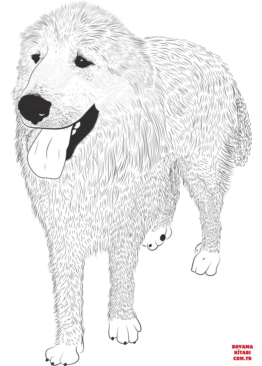 Köpek boyama sayfası #327 – evde etkinlik, anaokulu etkinliği