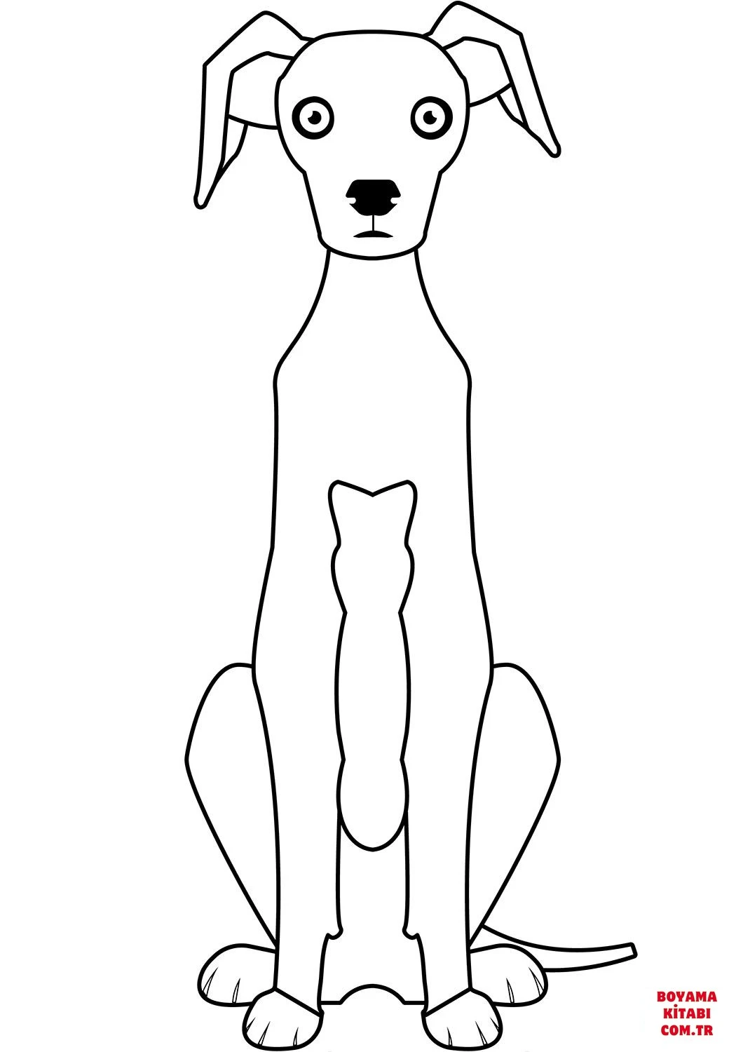 Köpek boyama sayfası #331 – yaratıcılık, doğum günü partisi aktivitesi