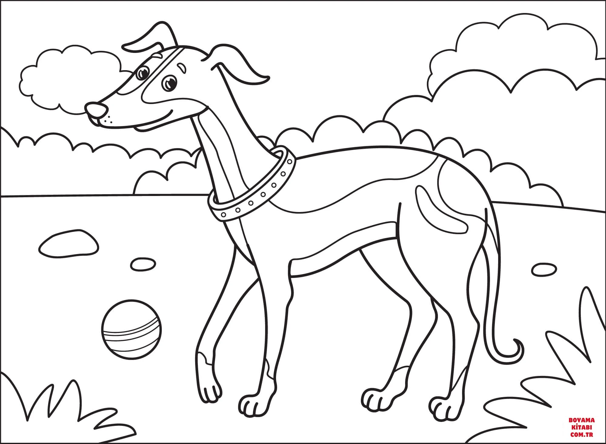 Köpek boyama sayfası #332 – boyama çalışması, sınıf etkinliği