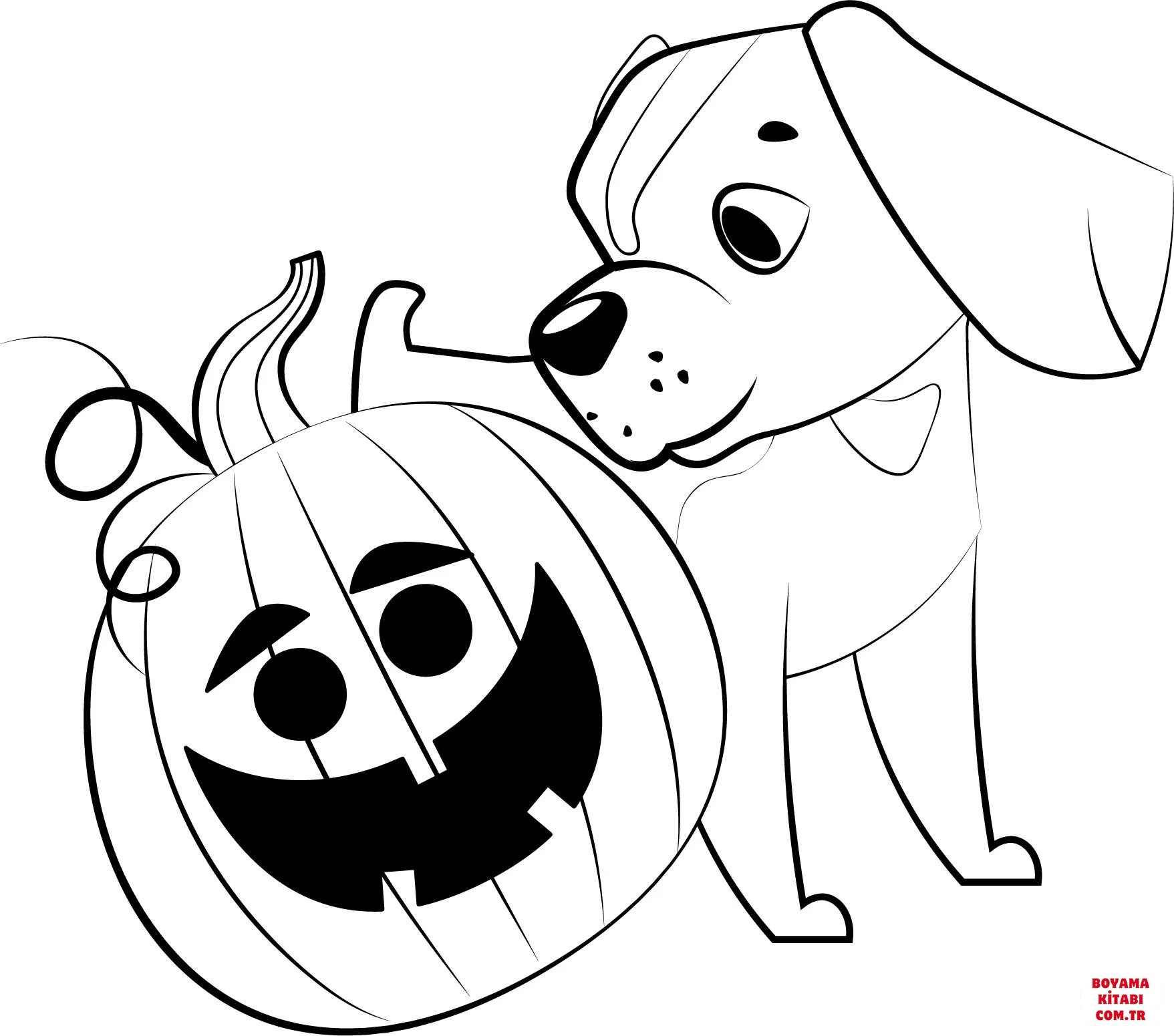 Köpek boyama sayfası #339 – sınıf etkinliği, kolay indirilebilir