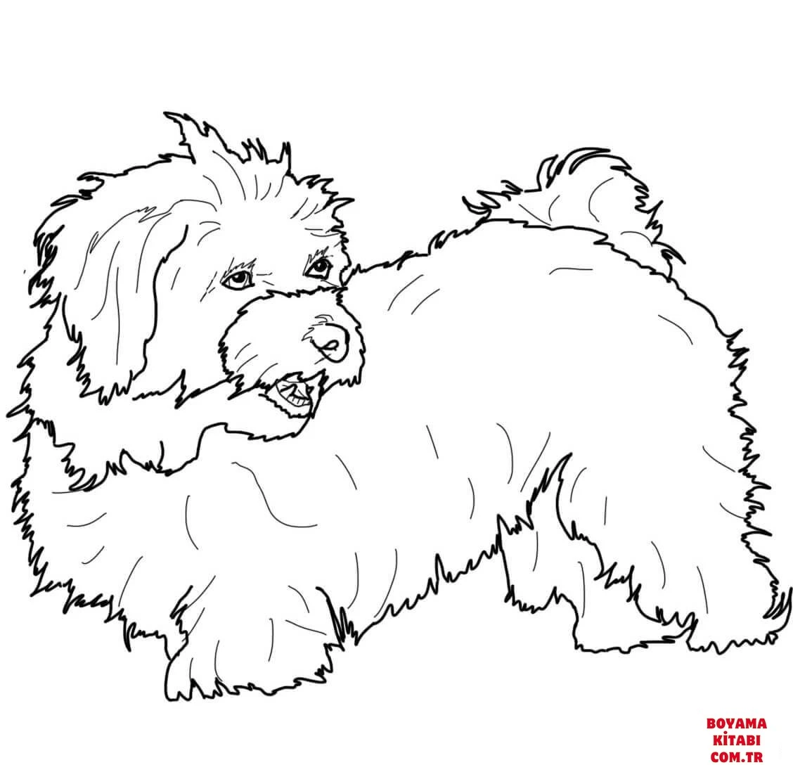 Köpek boyama sayfası #344 – sabır ve özgüven kazandırır, yaratıcı sanat çalışması