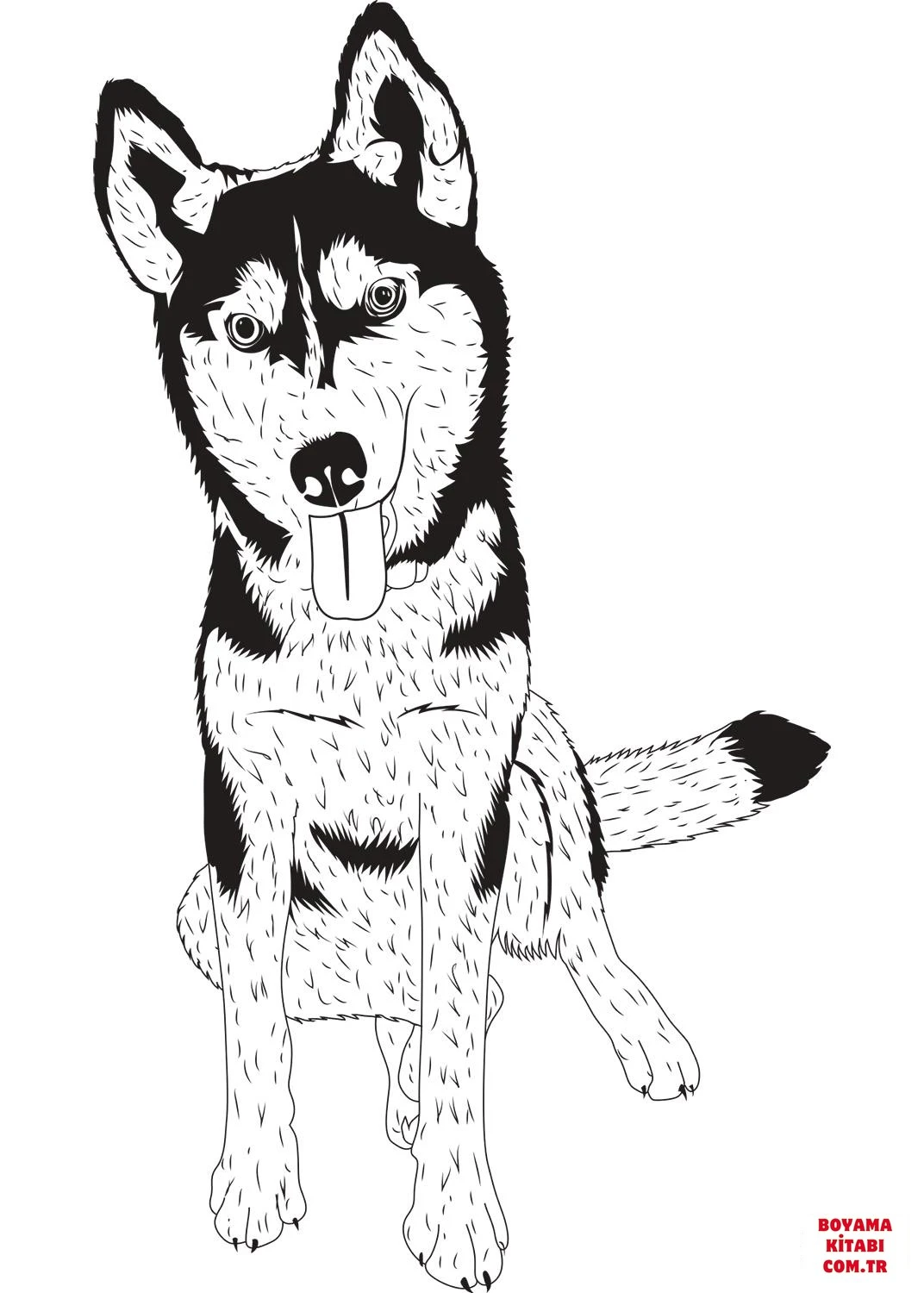 Köpek boyama sayfası #347 – A4 baskıya uygun, ücretsiz yazdır