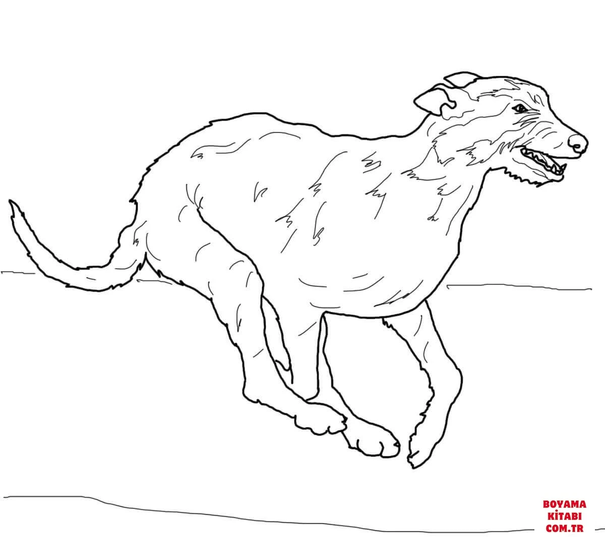 Köpek boyama sayfası #355 – PDF indir, sevimli karakter
