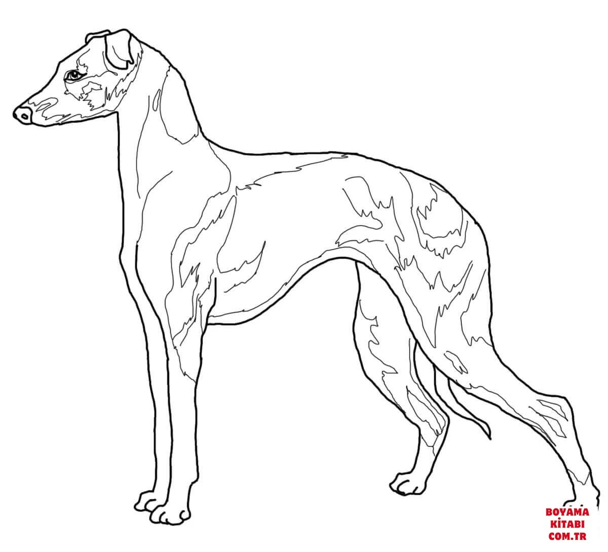 Köpek boyama sayfası #356 – çocuklar için, çizgi film temalı