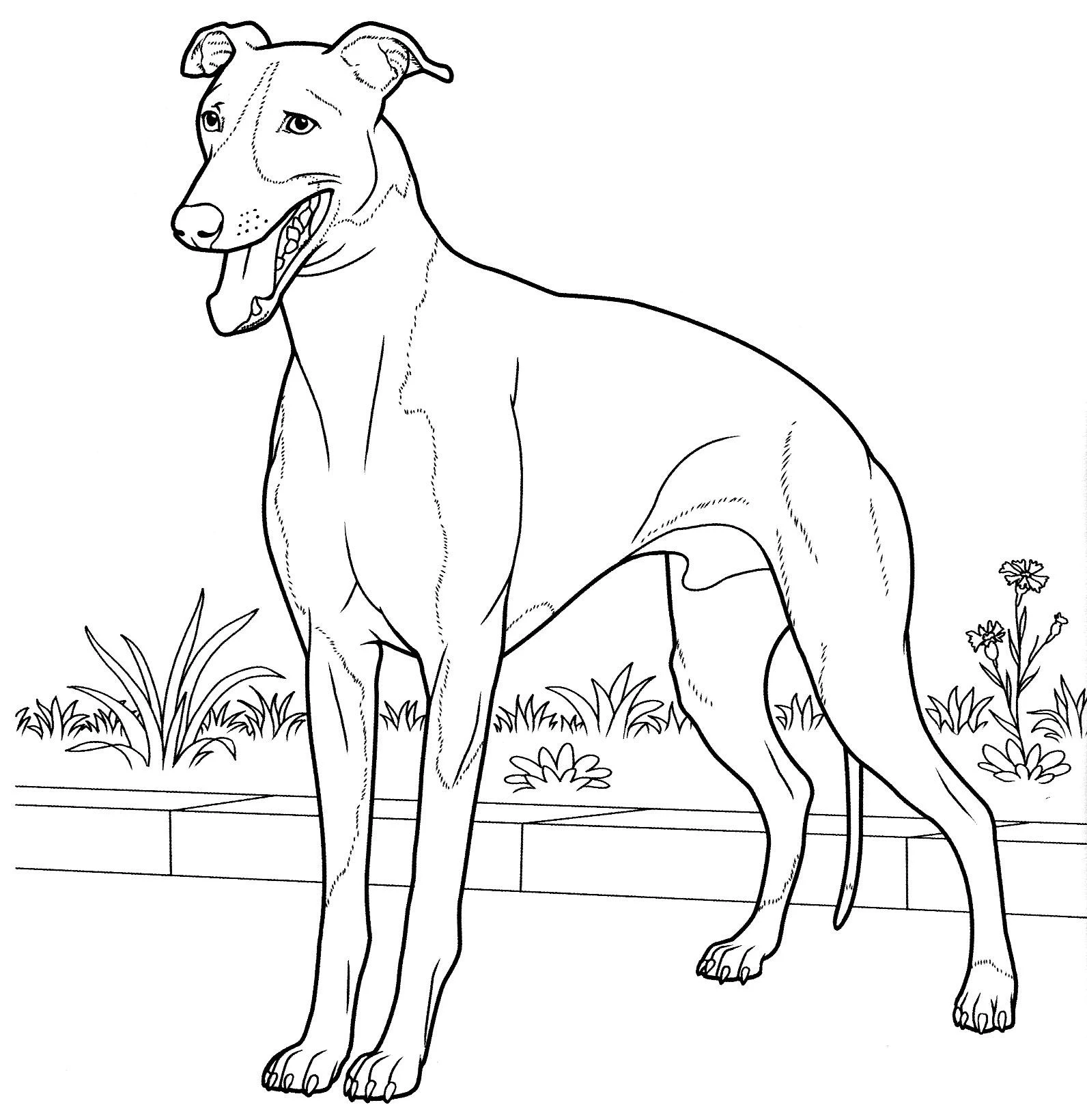 Köpek boyama sayfası #357 – kolay boyama, eğitici aktivite