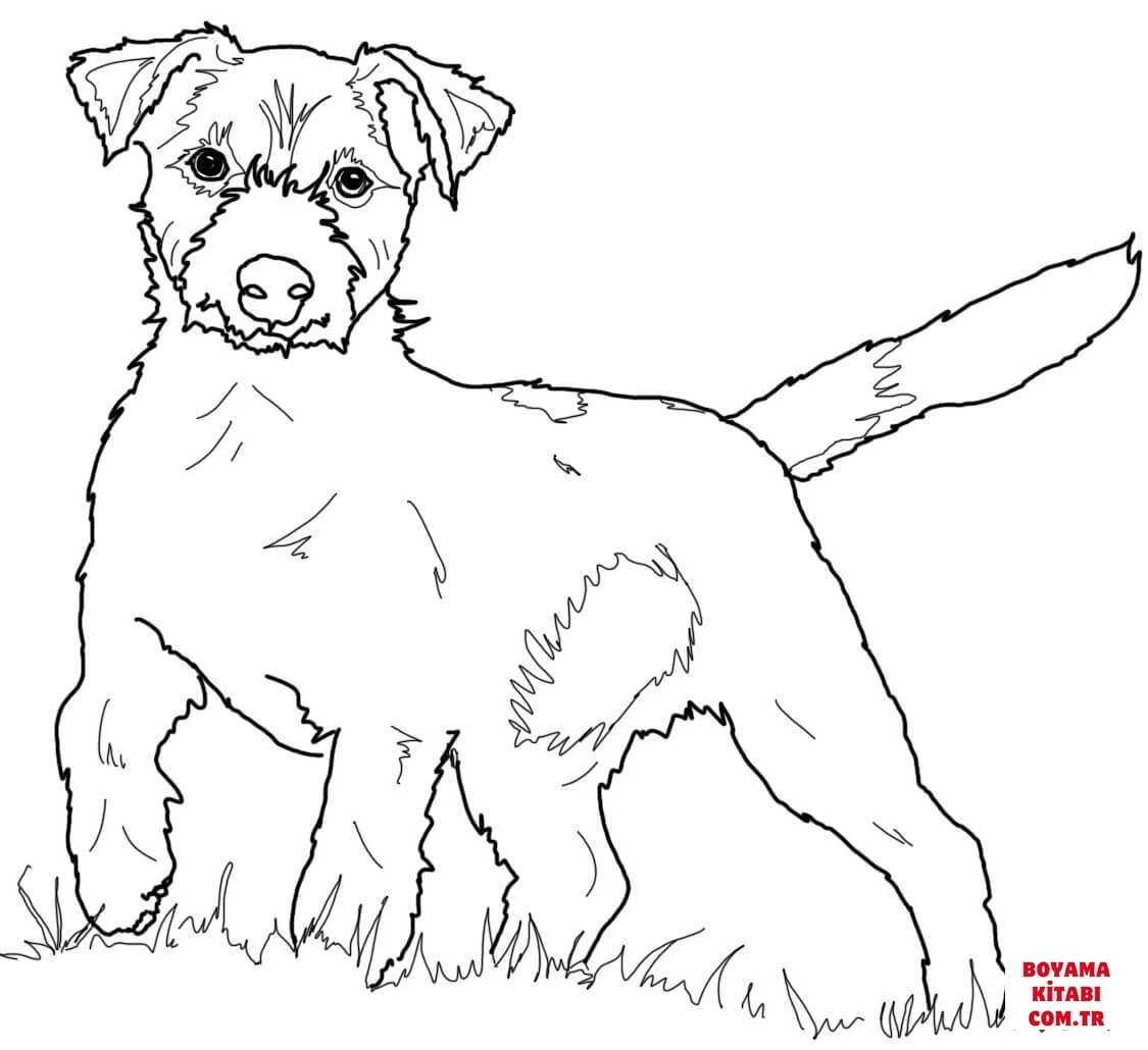 Köpek boyama sayfası #358 – eğlenceli etkinlik, el becerilerini geliştirir