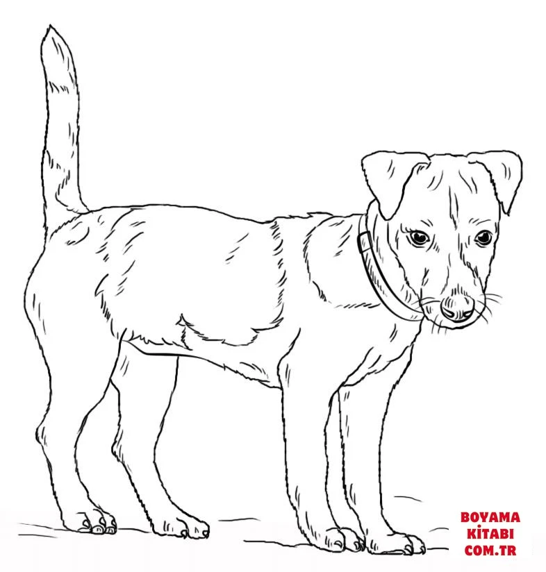 Köpek boyama sayfası #359 – yaratıcılığı geliştirir, keyifli zaman