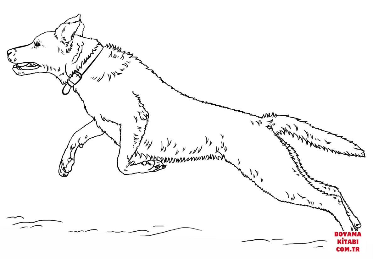 Köpek boyama sayfası #361 – boyama etkinliği, çocuk aktivitesi