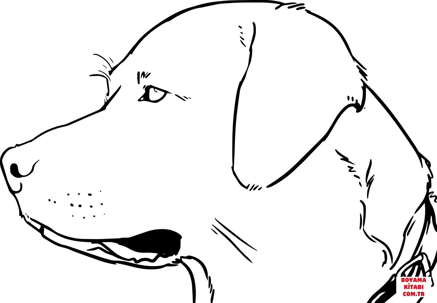 Köpek boyama sayfası #368 – çocuk aktivitesi, ilkokul öğrencileri için