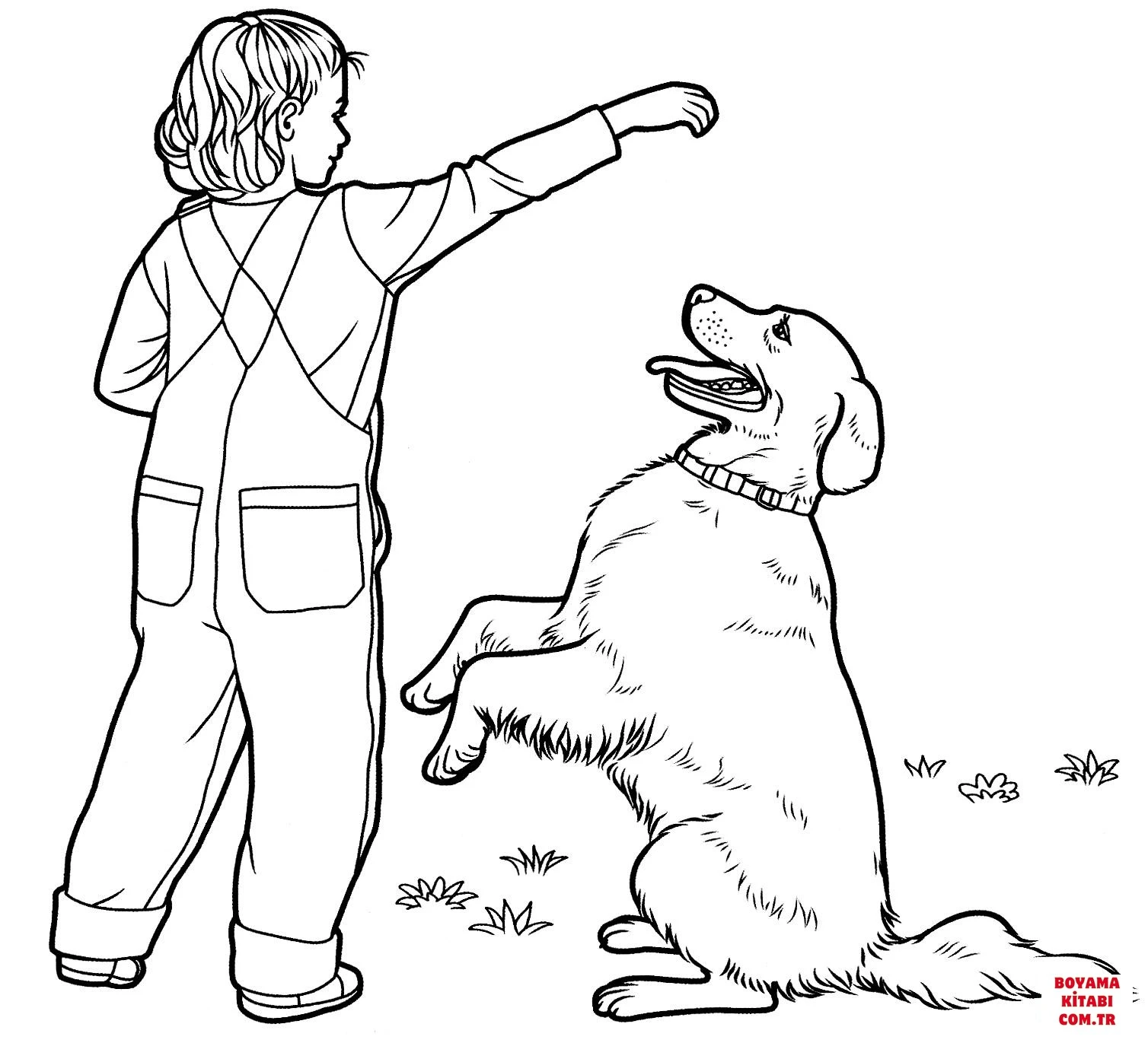 Köpek boyama sayfası #372 – boyama çalışması, sınıf etkinliği