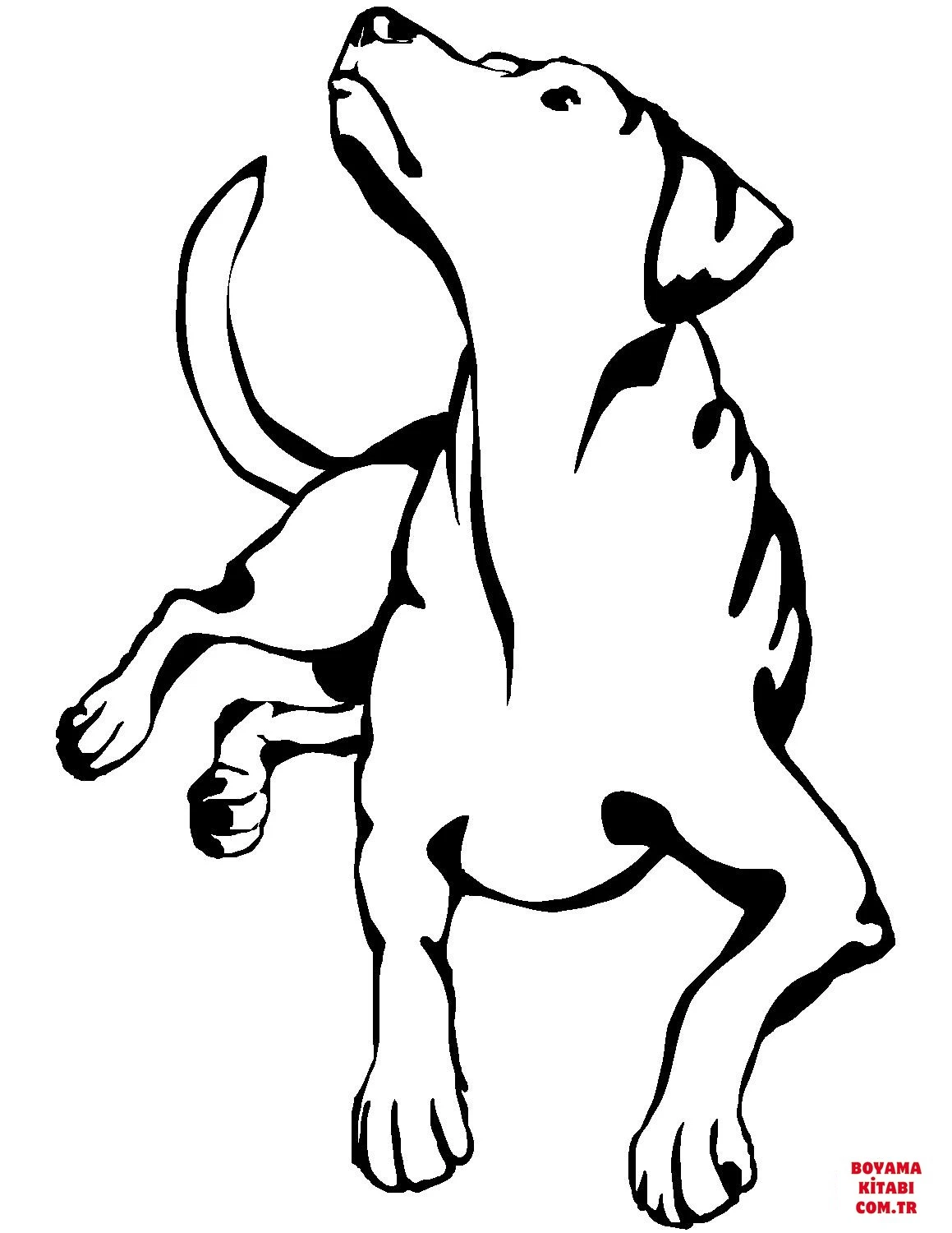 Köpek boyama sayfası #382 – hayal gücünü besler, tamamen ücretsiz