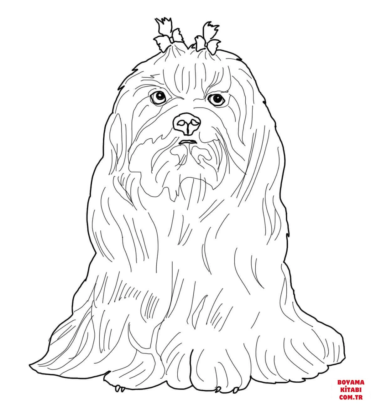 Köpek boyama sayfası #383 – renk bilgisini öğretir, günlük etkinlik önerisi