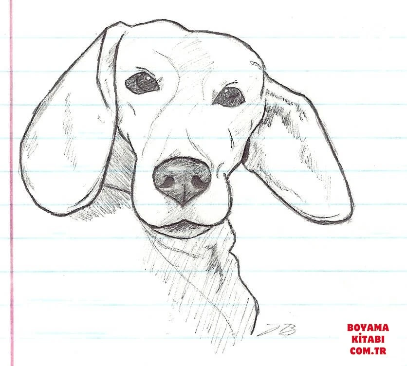 Köpek boyama sayfası #391 – yaratıcı sanat çalışması, eğlenceli etkinlik