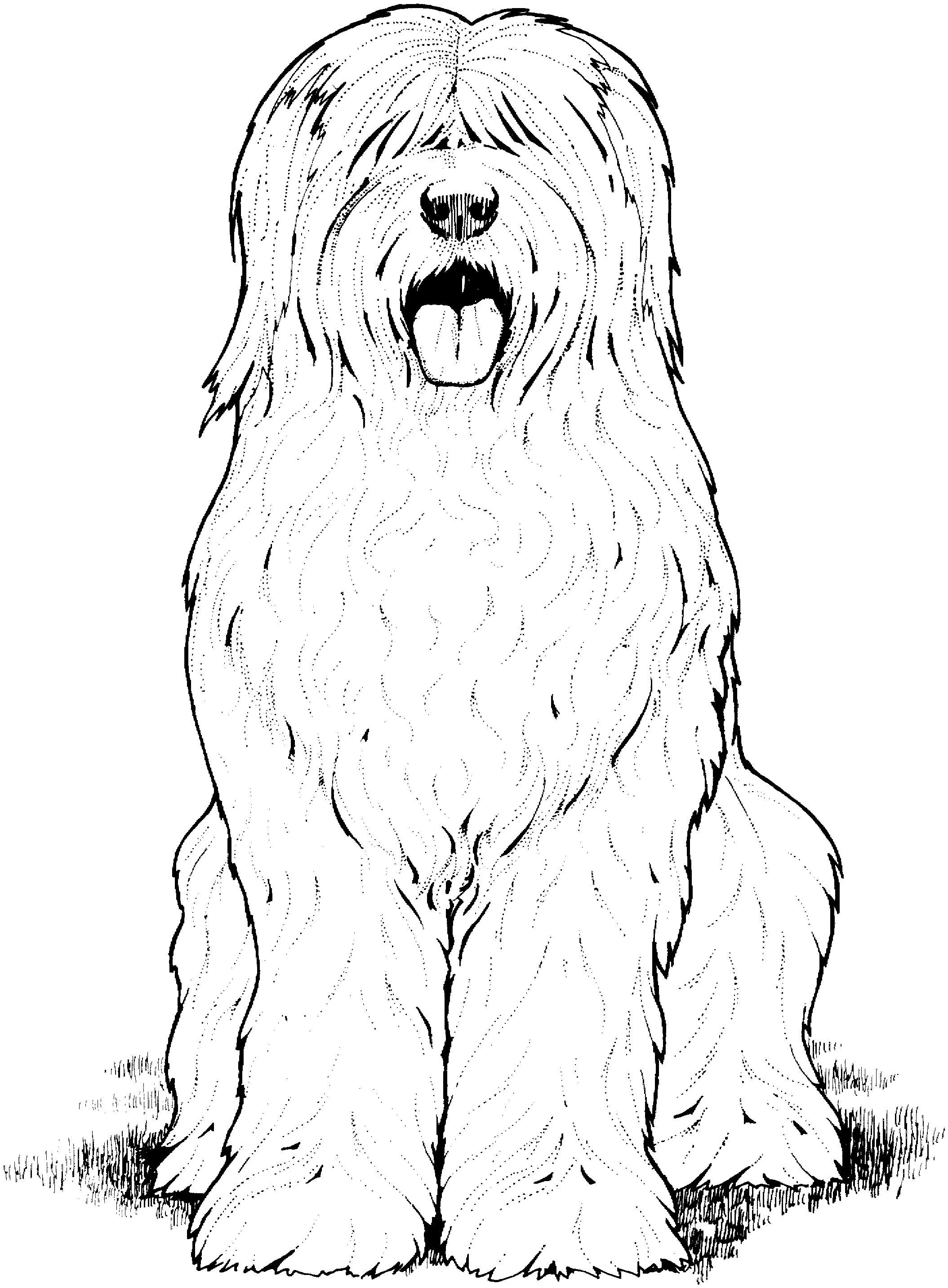 Köpek boyama sayfası #395 – PDF indir, sevimli karakter