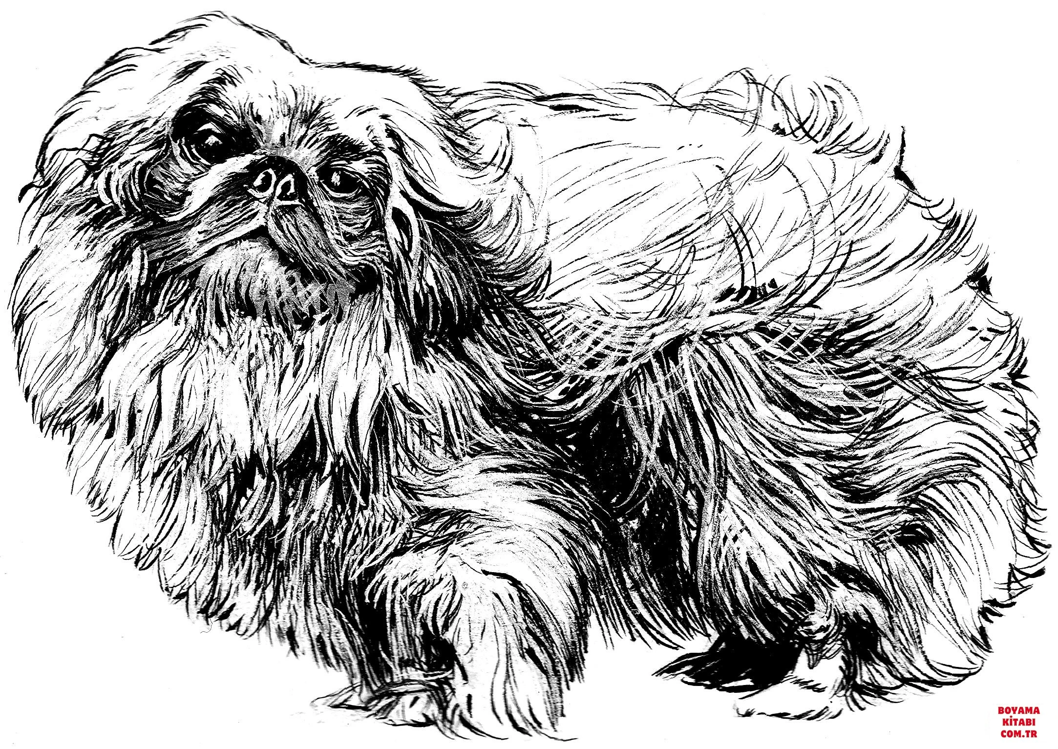 Köpek boyama sayfası #398 – eğlenceli etkinlik, el becerilerini geliştirir
