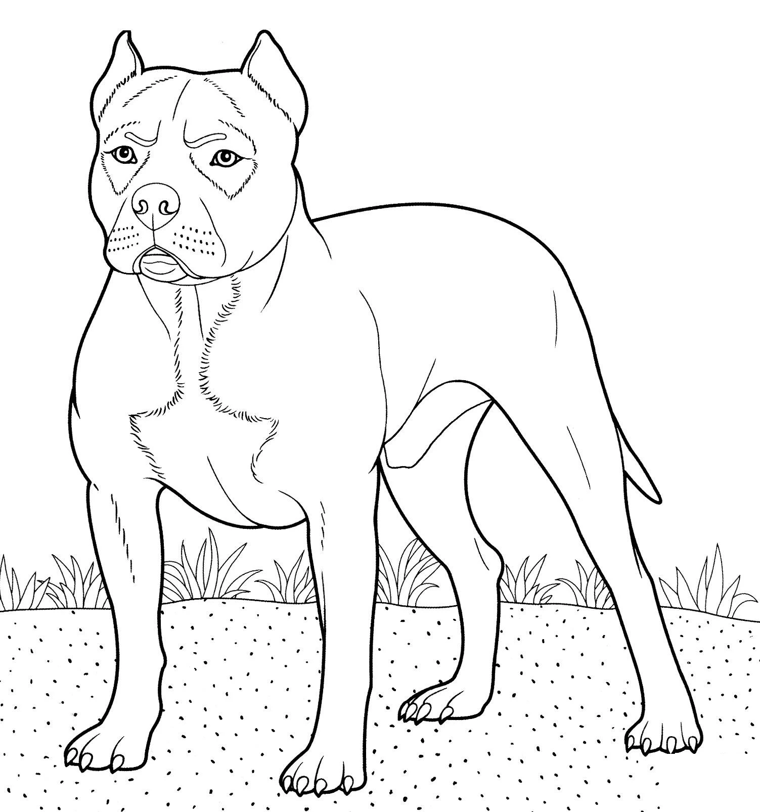 Köpek boyama sayfası #404 – eğitici aktivite, yaratıcılık