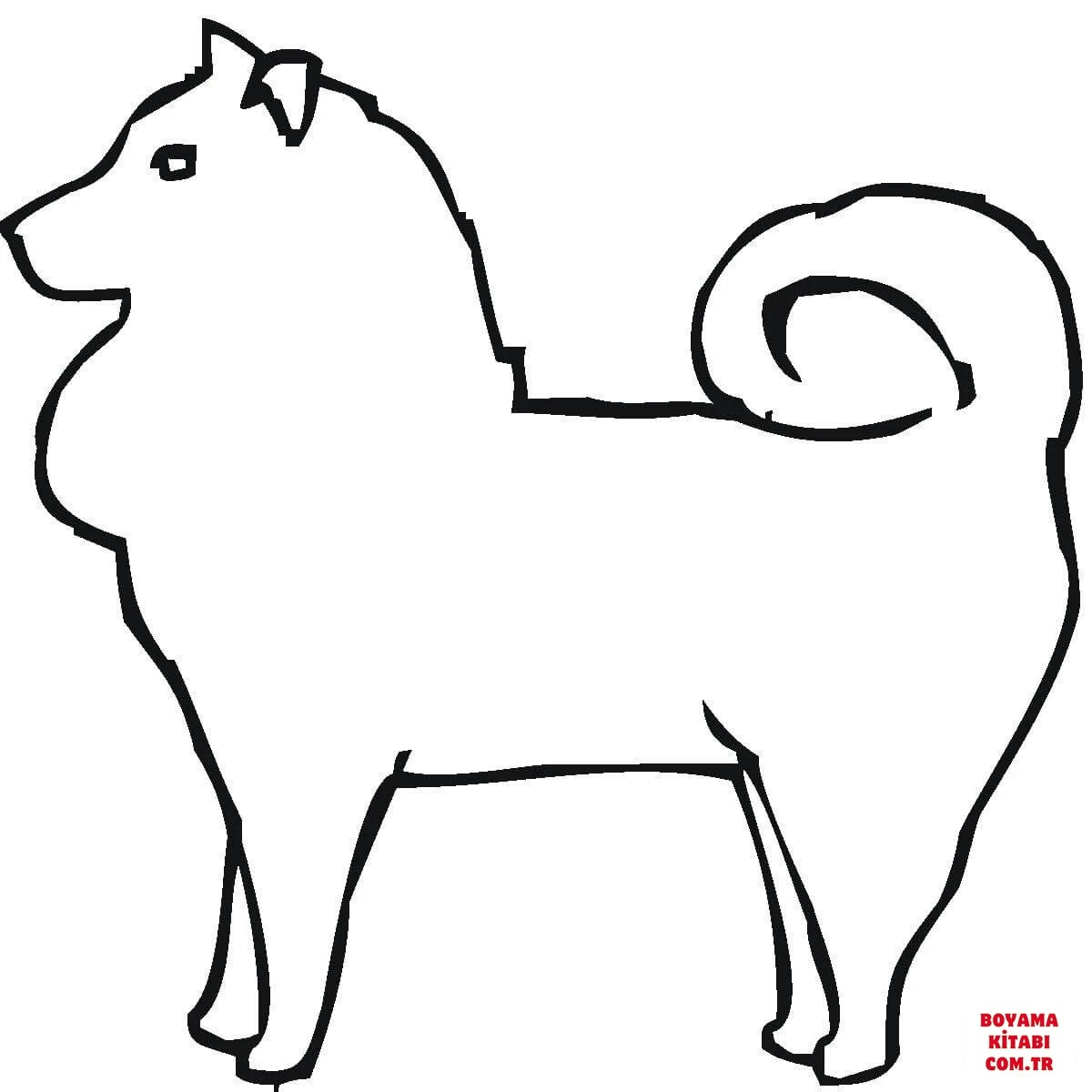 Köpek boyama sayfası #423 – renk bilgisini öğretir, günlük etkinlik önerisi