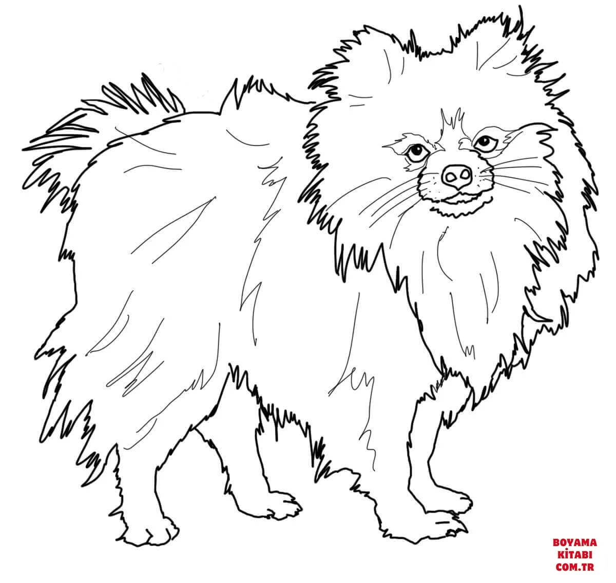 Köpek boyama sayfası #424 – sabır ve özgüven kazandırır, yaratıcı sanat çalışması