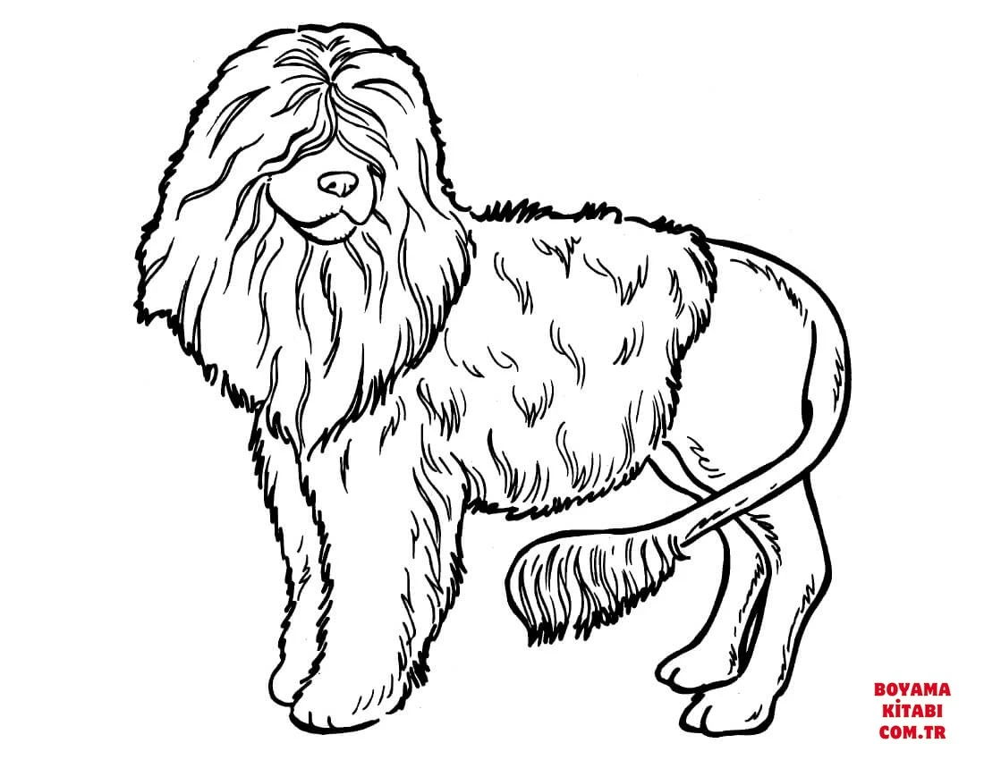 Köpek boyama sayfası #438 – eğlenceli etkinlik, el becerilerini geliştirir