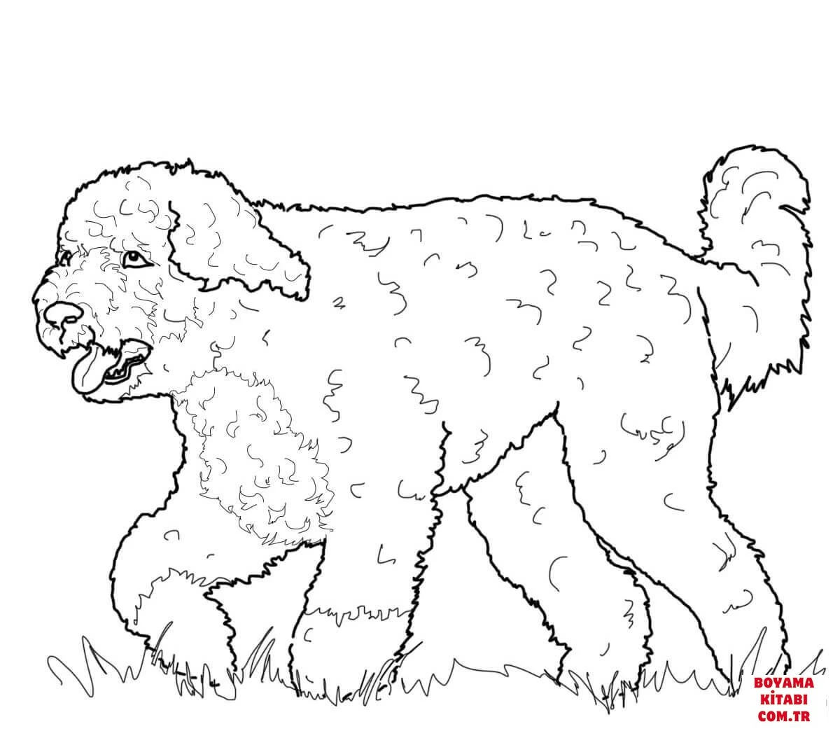 Köpek boyama sayfası #447 – evde etkinlik, anaokulu etkinliği