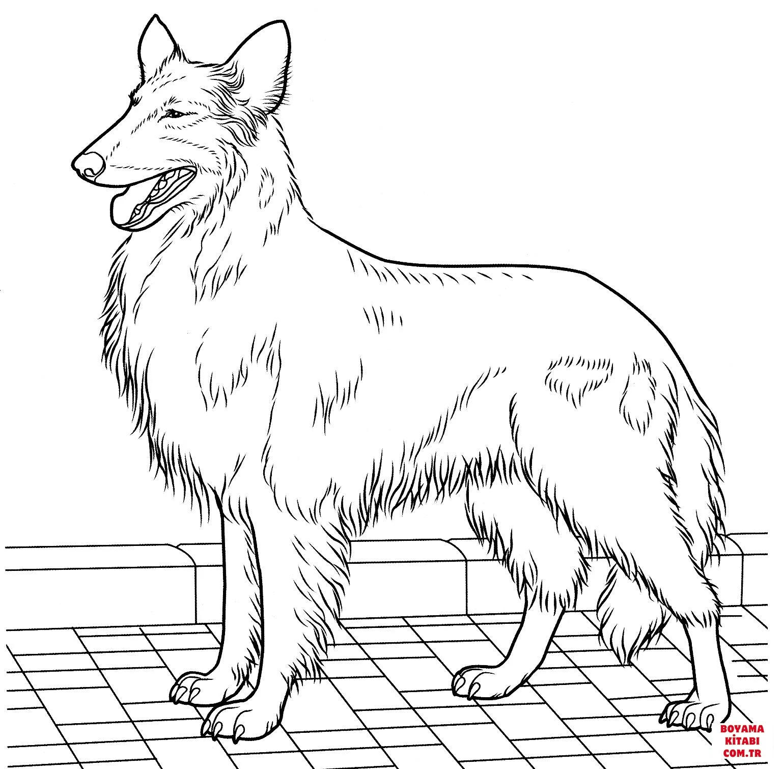 Köpek boyama sayfası #484 – eğitici aktivite, yaratıcılık