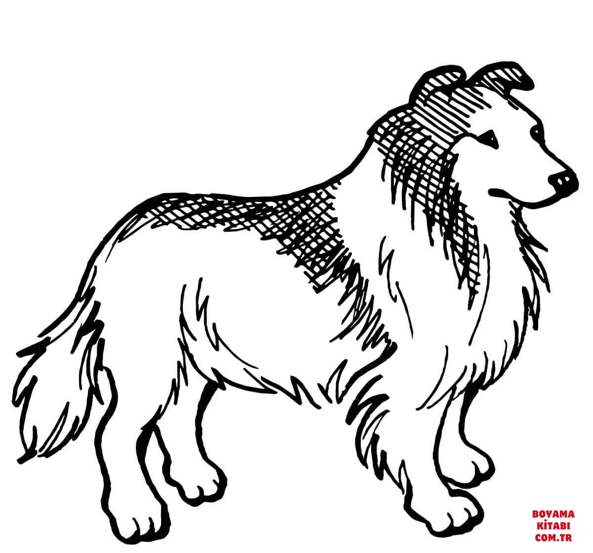 Köpek boyama sayfası #485 – el becerilerini geliştirir, boyama çalışması