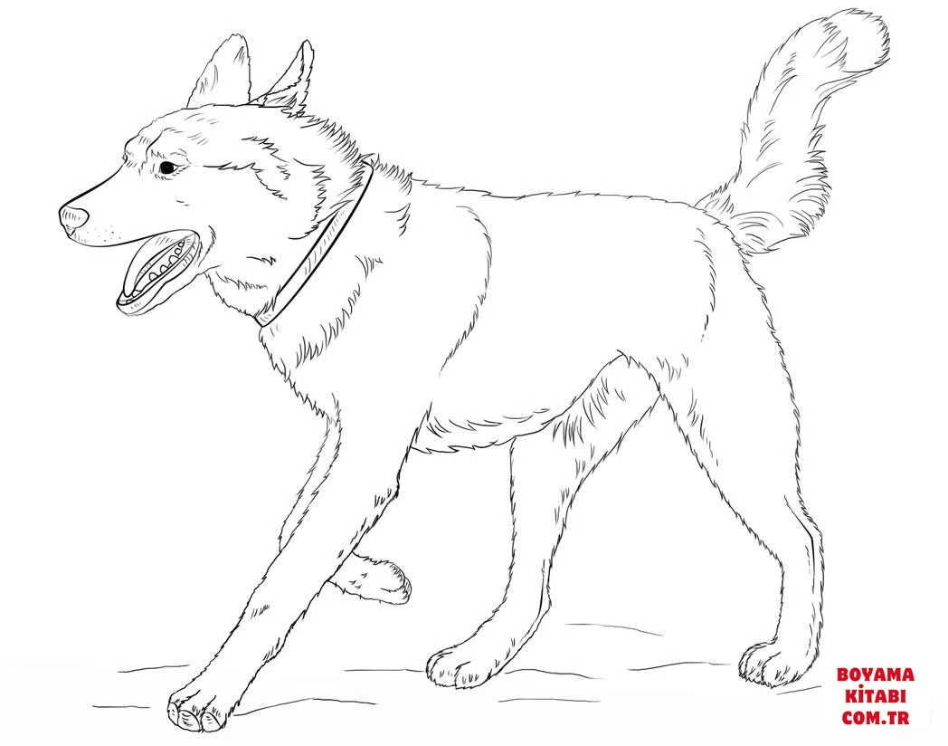 Köpek boyama sayfası #488 – çocuk aktivitesi, ilkokul öğrencileri için