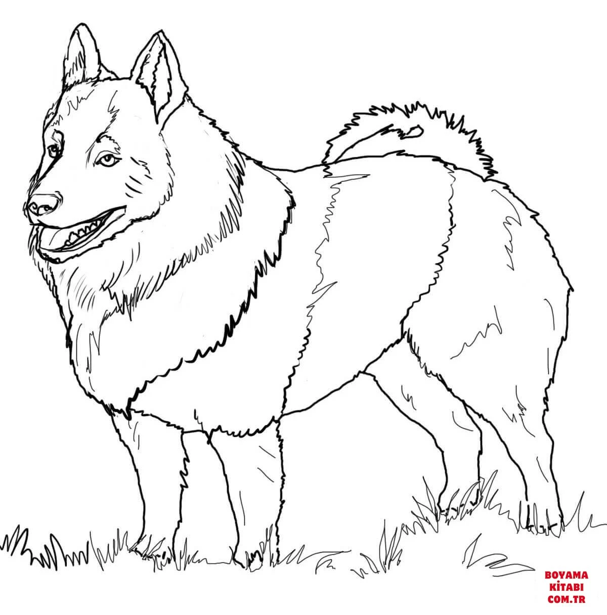 Köpek boyama sayfası #496 – aile ile vakit geçirme, renk bilgisini öğretir