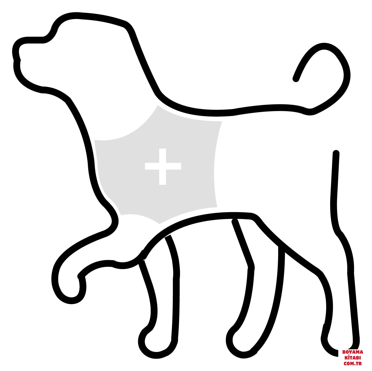 Köpek boyama sayfası #503 – renk bilgisini öğretir, günlük etkinlik önerisi