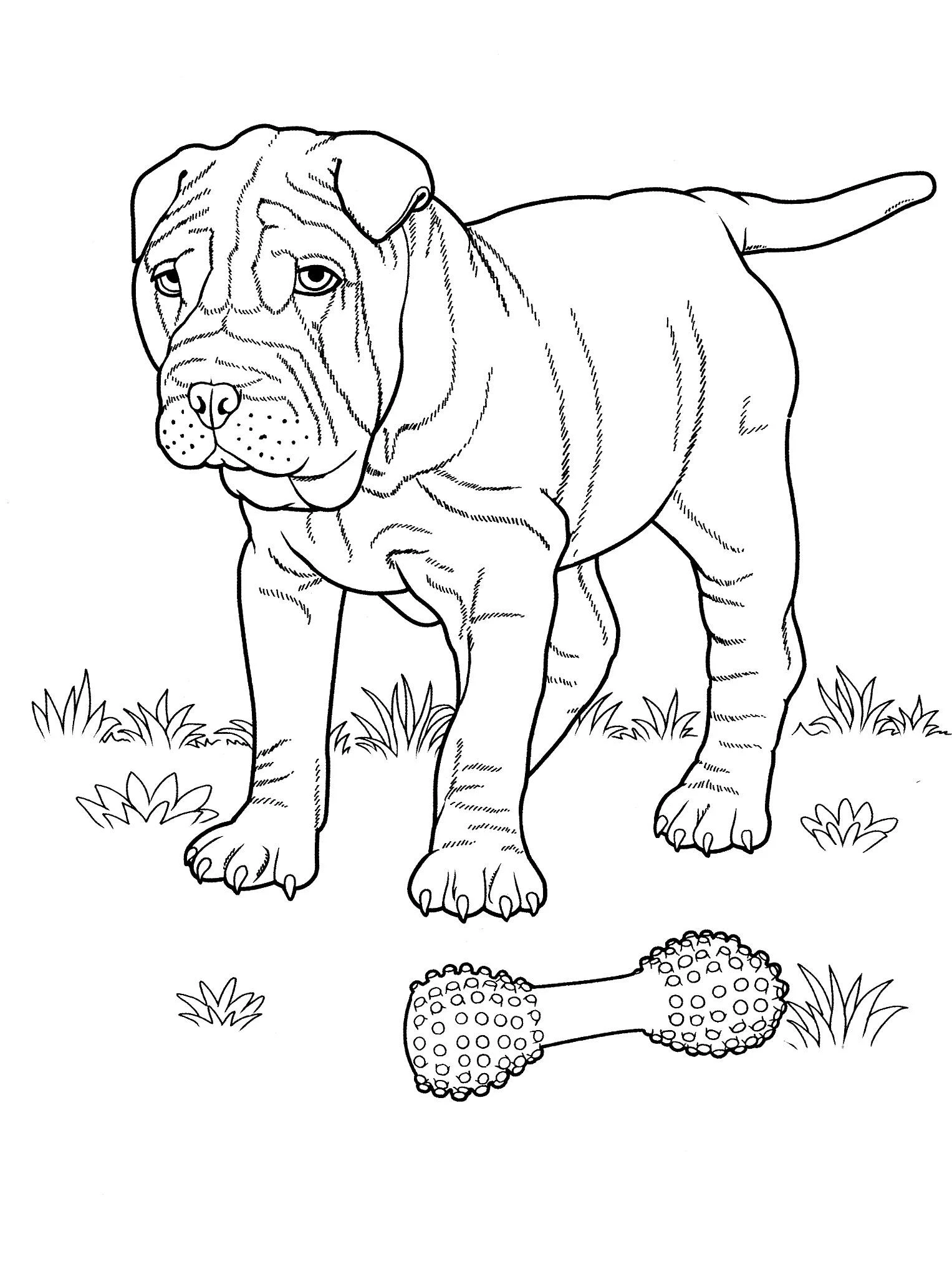 Köpek boyama sayfası #509 – tamamen ücretsiz, çocuklar için