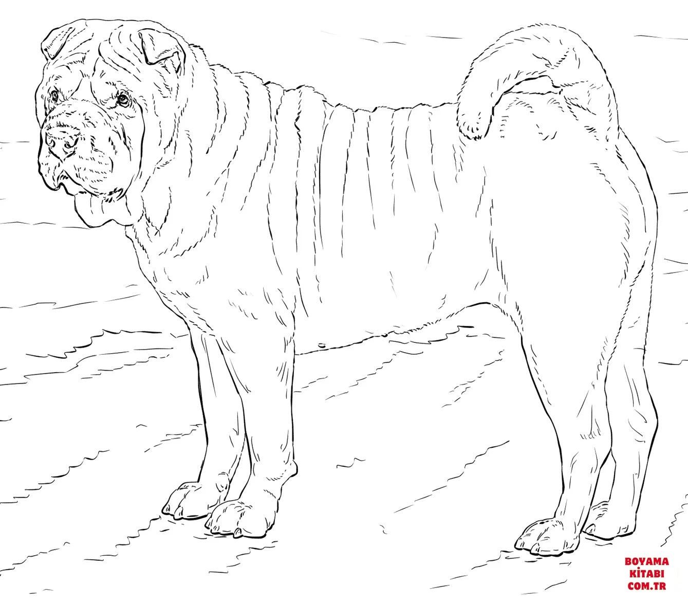 Köpek boyama sayfası #510 – günlük etkinlik önerisi, kolay boyama
