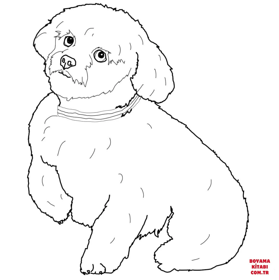 Köpek boyama sayfası #519 – yaratıcılığı geliştirir, keyifli zaman