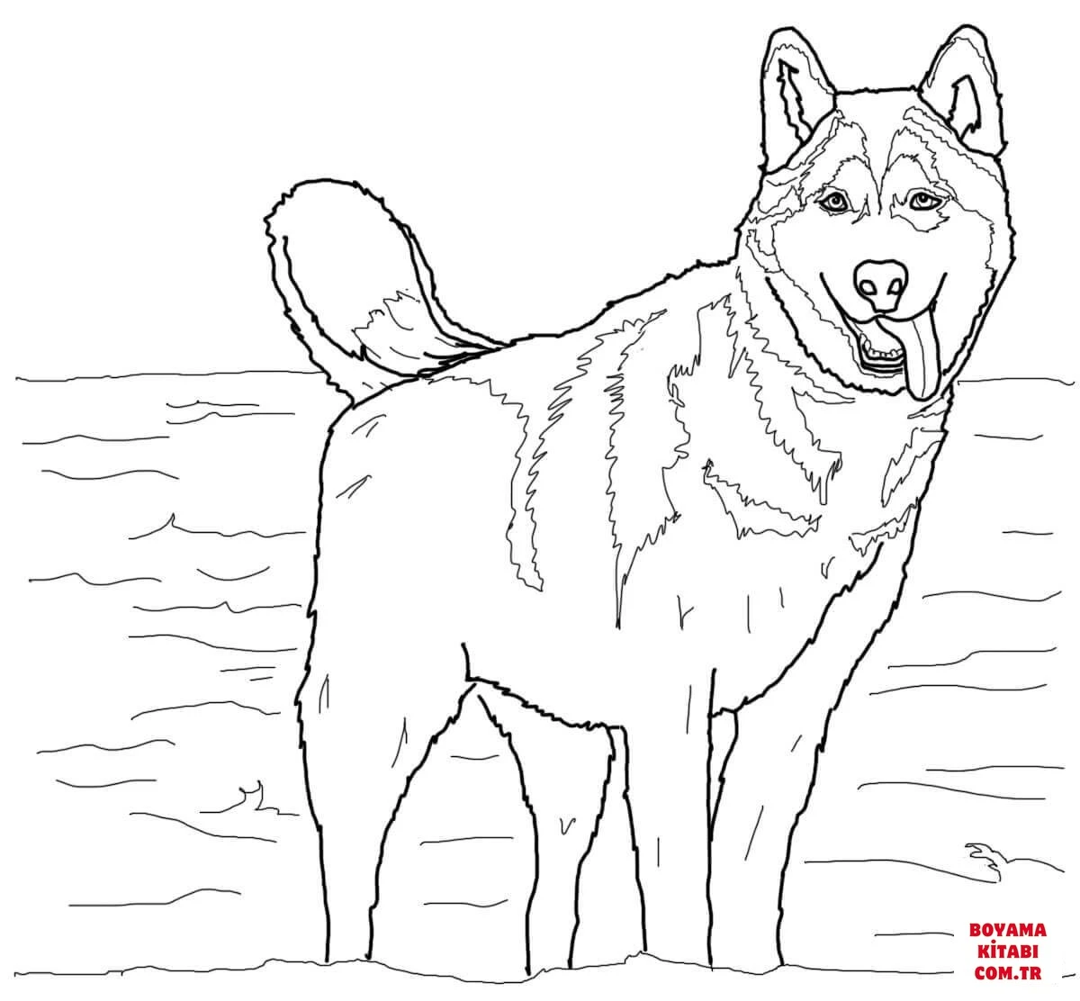 Köpek boyama sayfası #520 – okul öncesi, evde etkinlik