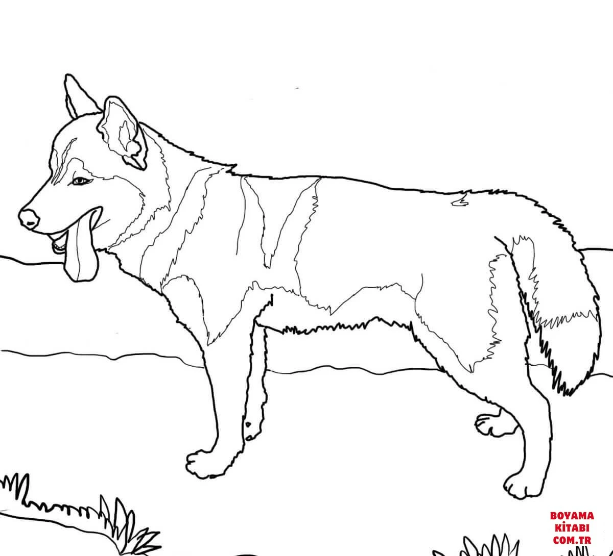 Köpek boyama sayfası #521 – boyama etkinliği, çocuk aktivitesi