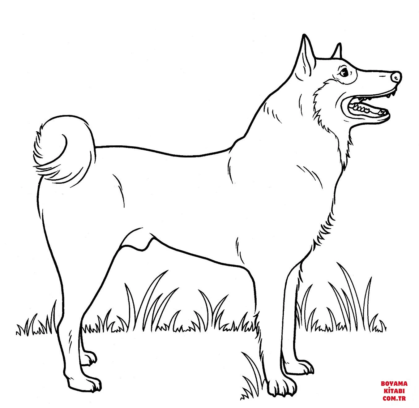 Köpek boyama sayfası #531 – yaratıcılık, doğum günü partisi aktivitesi