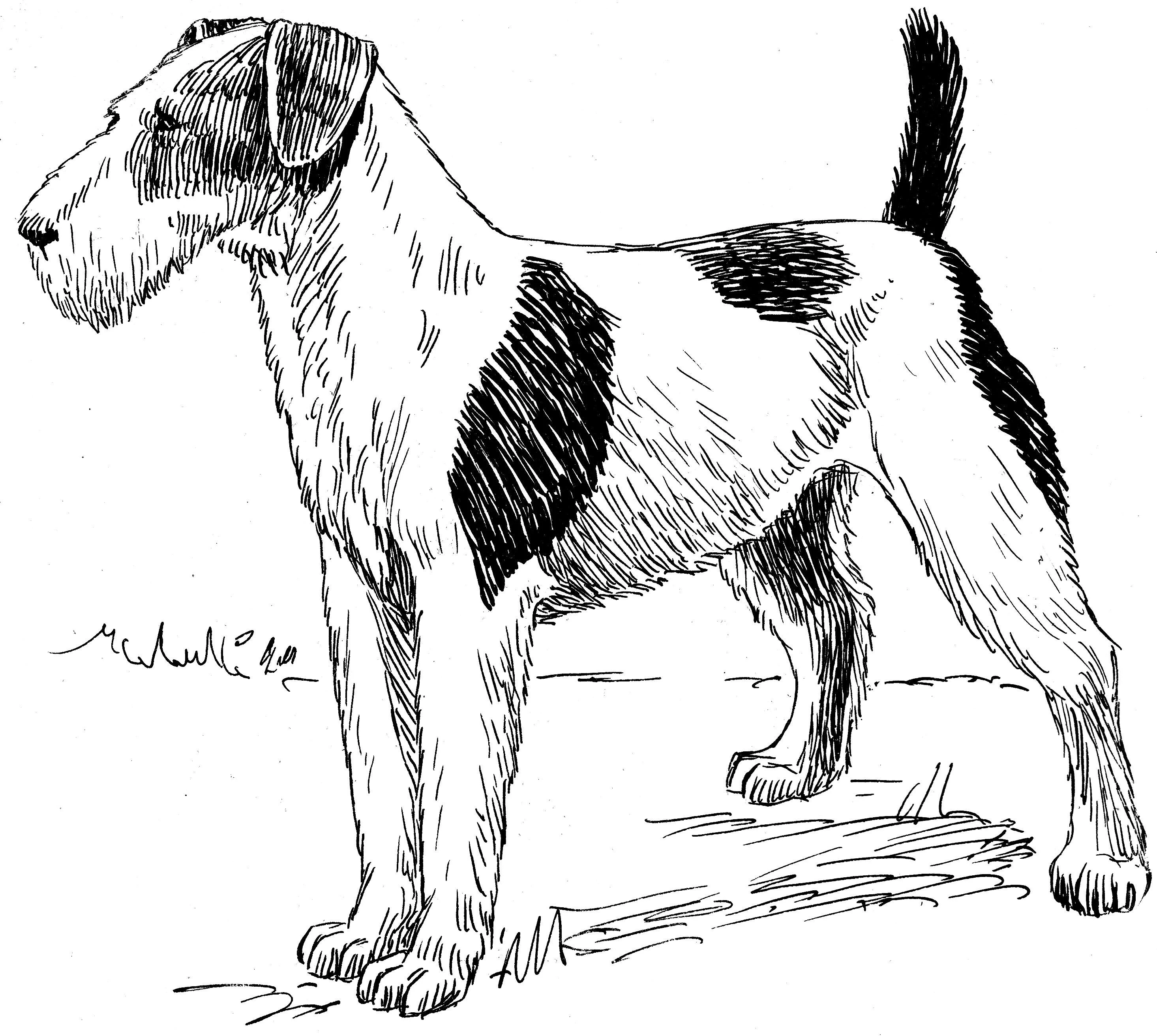 Köpek boyama sayfası #533 – renkli çizimler, dikkat ve odaklanma geliştirir