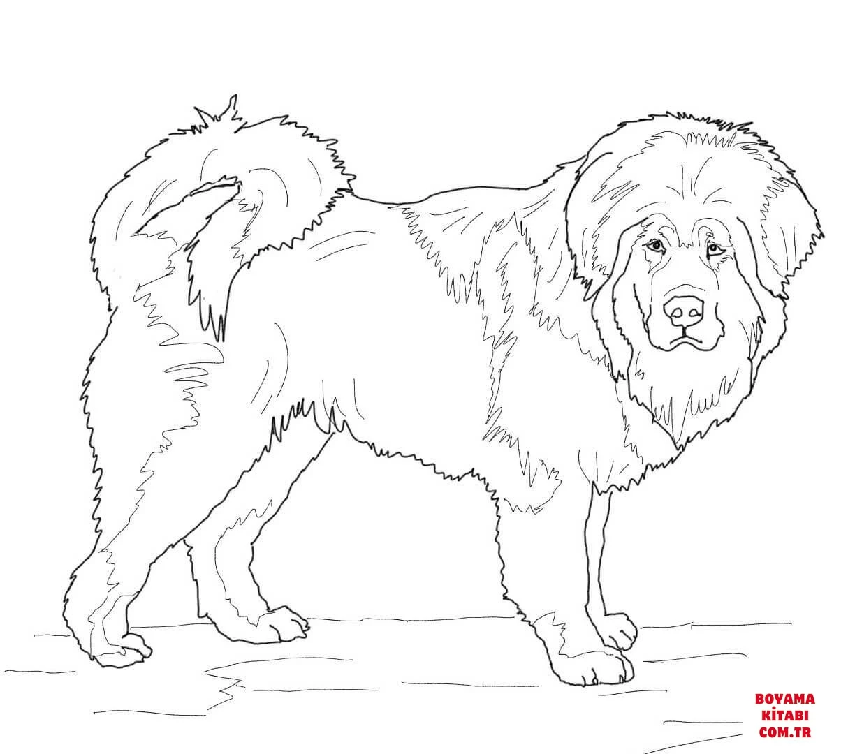 Köpek boyama sayfası #535 – ilkokul öğrencileri için, hayal gücünü besler