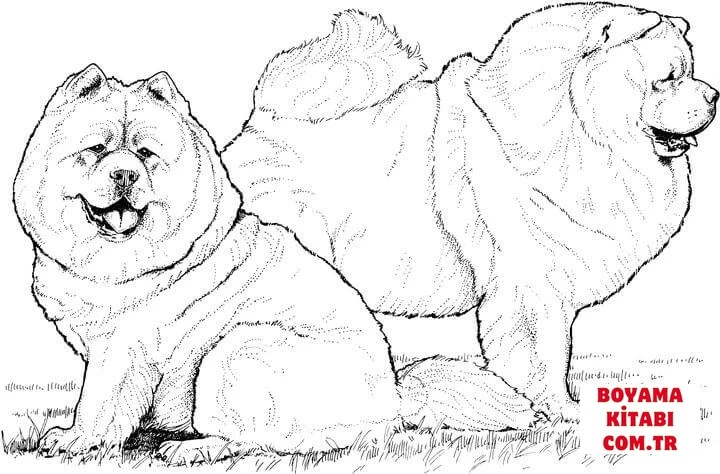 Köpek boyama sayfası #540 – dikkat ve odaklanma geliştirir, A4 baskıya uygun