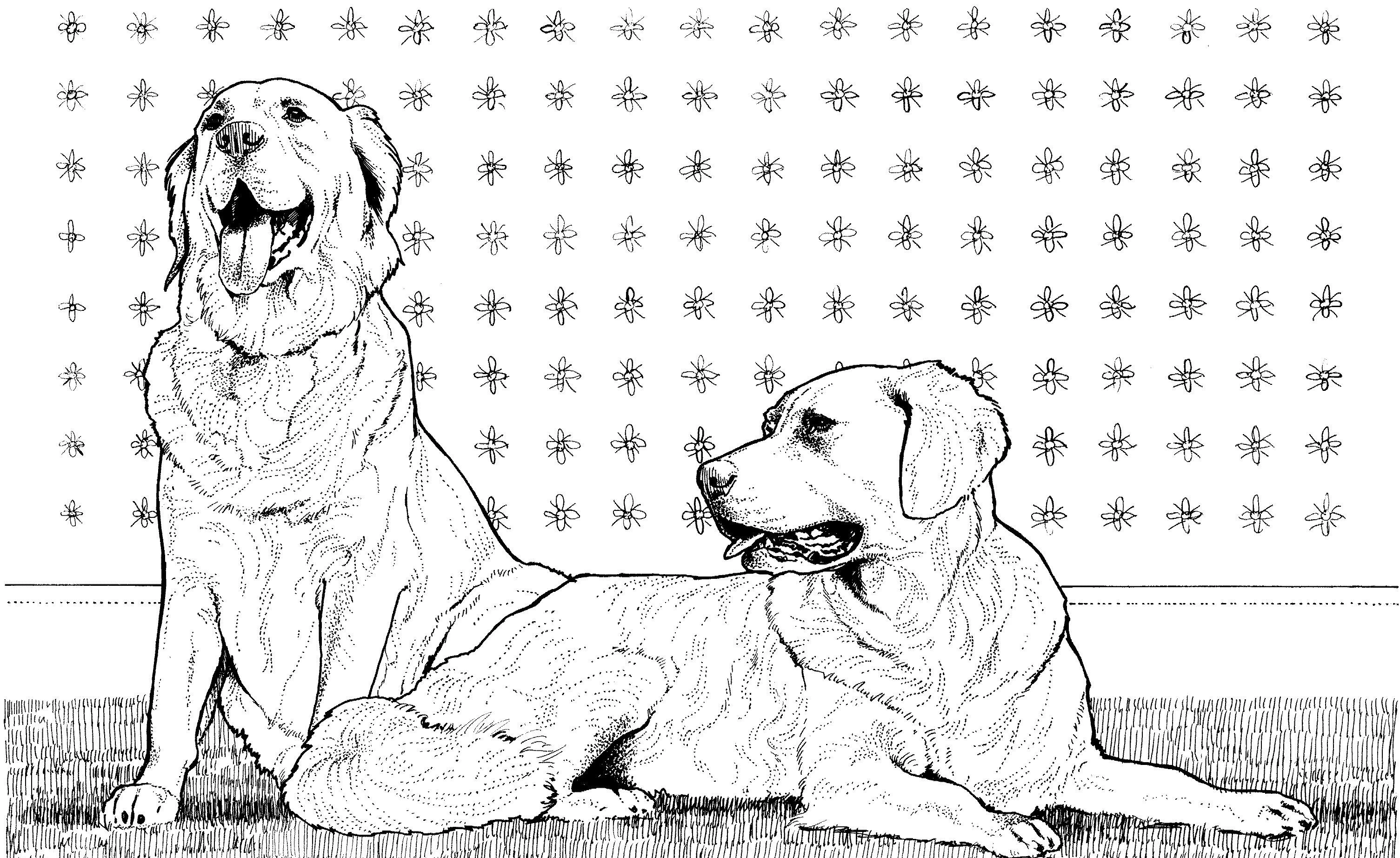 Köpek boyama sayfası #541 – motor becerileri destekler, mürekkep tasarrufu sağlar